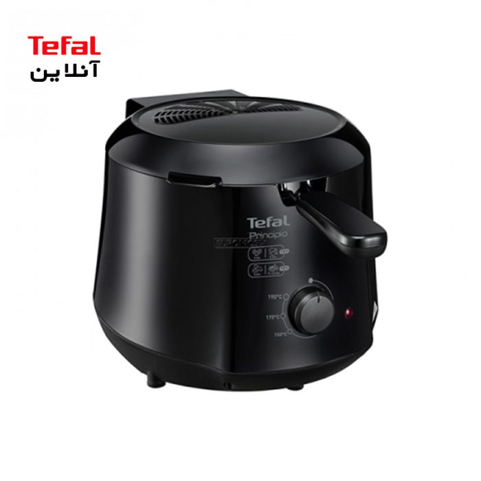 سرخ‌کن مدل FF230831 تفال