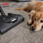 جاروبرقی مدل C1 Cat & Dog SBBN0 میله Miele
