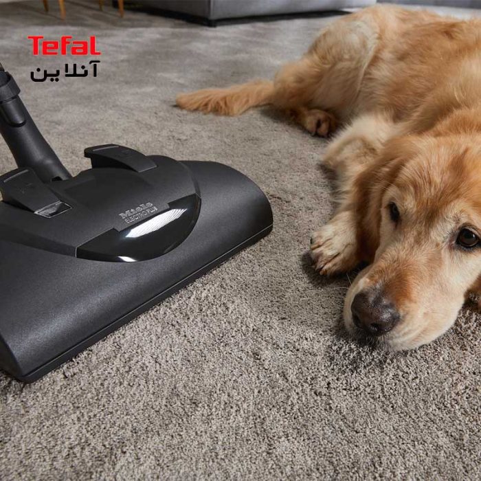 جاروبرقی مدل C1 Cat & Dog SBBN0 میله Miele