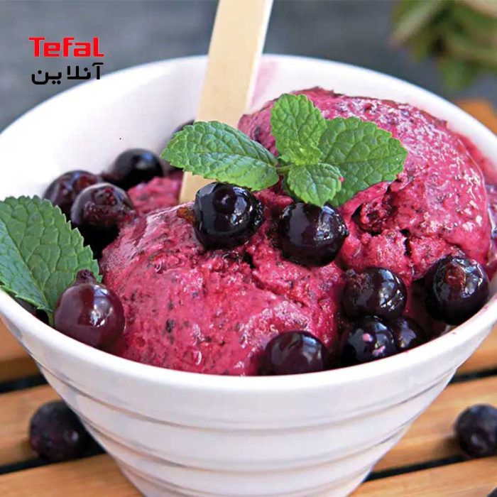 بستنی‌ساز مدل NC501 Deluxe نینجا Ninja